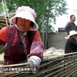 廠房廠景