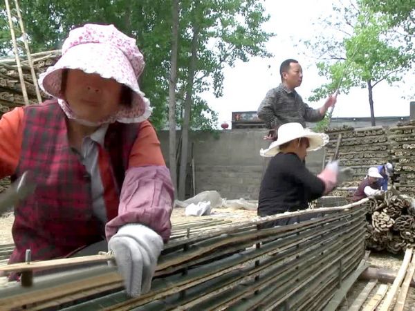 廠房廠景